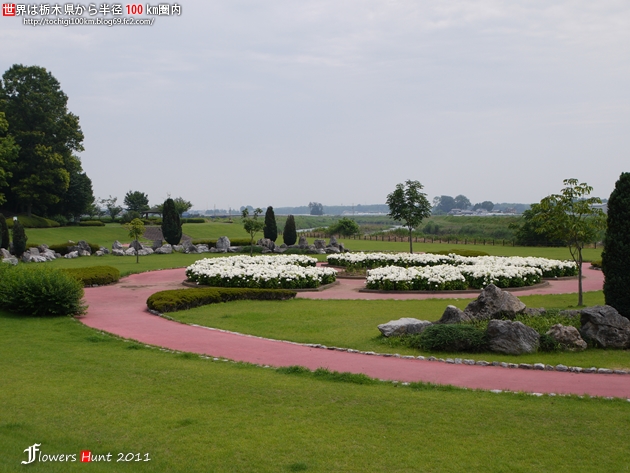 蔓巻公園 下野市箕輪