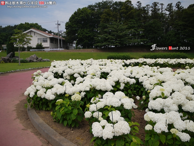 蔓巻公園 下野市箕輪