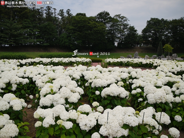 蔓巻公園 下野市箕輪