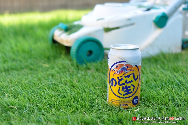 National 庭園芝刈機 カッターロータリー式 EY2233