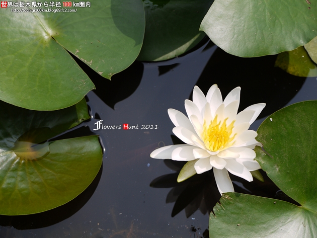 北山公園 笠間市平町1416-1