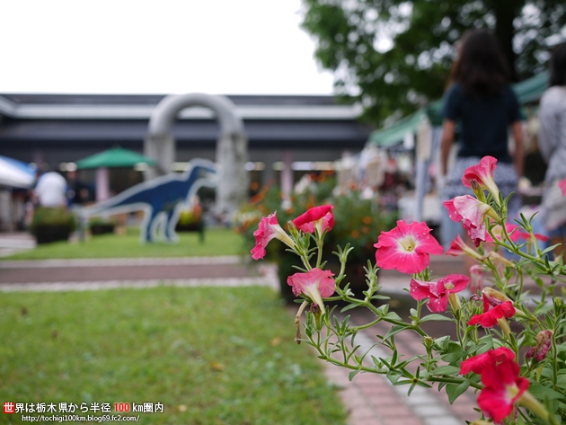 WORKSHOP FESTIVAL さくら市ミュージアム
