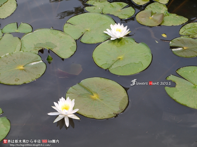 北山公園 笠間市平町1416-1