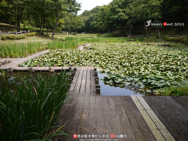 北山公園 笠間市平町1416-1