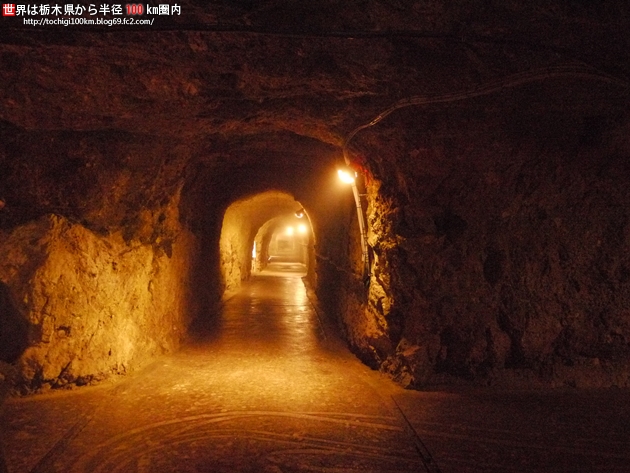 島崎酒造(東力士) 洞窟酒蔵見学