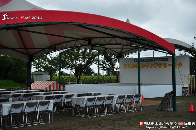 かみのかわサンフラワー祭り (第4回)