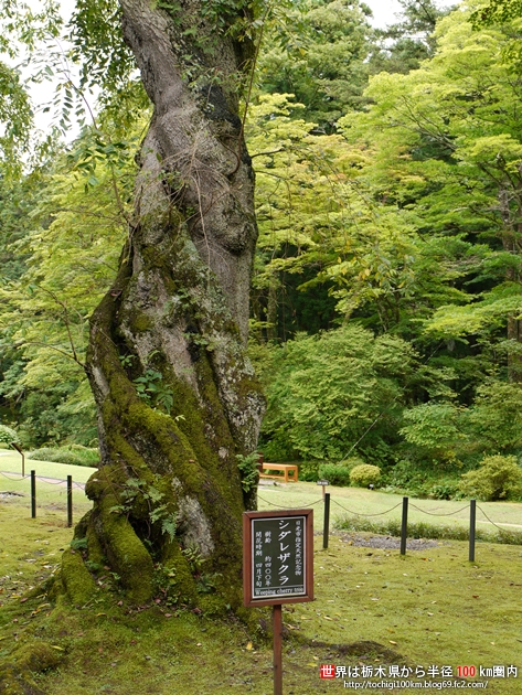 日光田母沢御用邸記念公園 日光市本町8-27