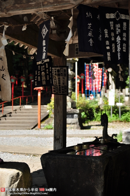 出流山満願寺 シュウカイドウ