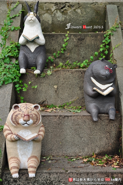 茂木町 城山公園の彼岸花