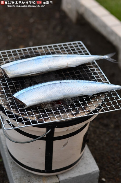 かましんの秋刀魚で秋を思ふ