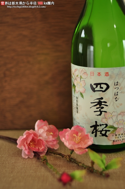 四季桜