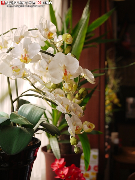 峠食堂 芳賀郡茂木町天子842