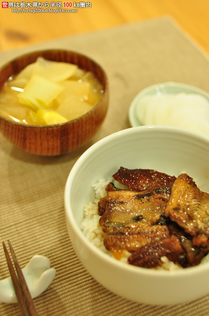 木の屋 沖あなご醤油味