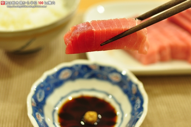 三崎まぐろ中トロ 第12回にっぽんの味と技