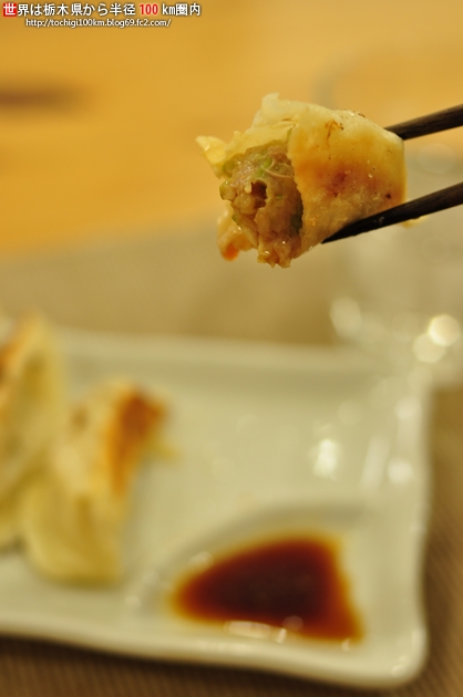 宇都宮みんみん 冷凍生餃子