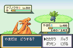 rizadon.png