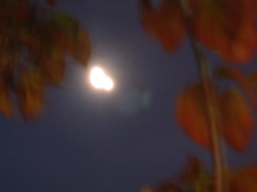 2011-10-7.jpg