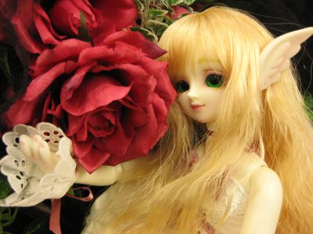 ケイさんと薔薇
