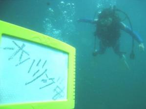 PADI アドバンスコース取得ツアー