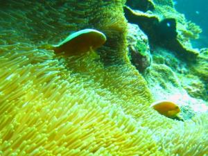 IMG_2137.jpg
