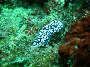 IMG_3180.jpg