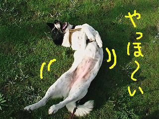 みちこ