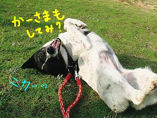 みちこ3