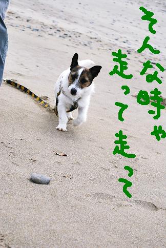 飛のアドバイス1