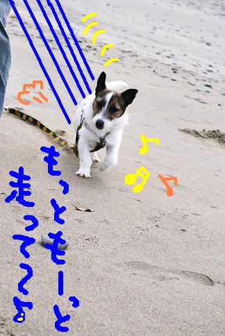 飛アドバイス2