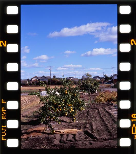 F3_2400dpi_nokton58mm.jpg