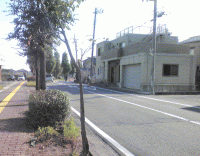 会社前の街路樹の左その後．gif