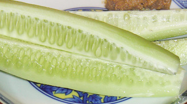 cucumber_up.jpg