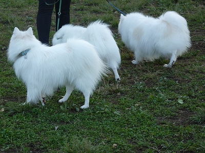 s-P1010704.jpg