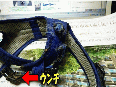 s-P1020401-0.gif