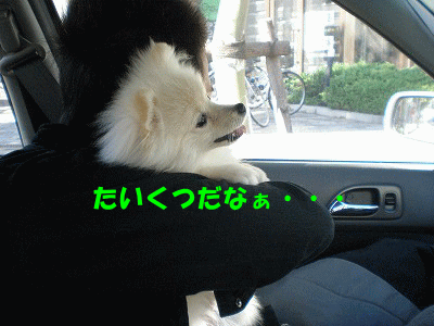 s-P8280001-2-0.gif