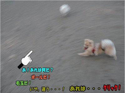sr-P0912271010590.gif