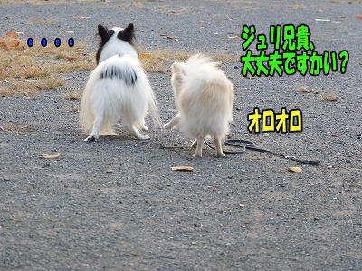 ss-PP1010024.jpg