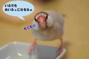 いつでも相手になるよ、だってw