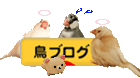 にほんブログ村へジャンプ