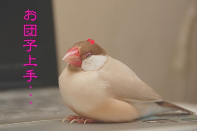ふっくらきなこ団子^^