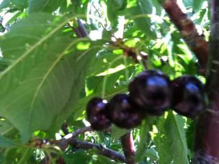 photo (1)