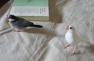kamikami1