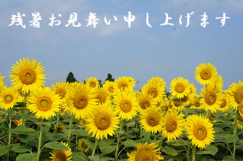 resize0358.jpg