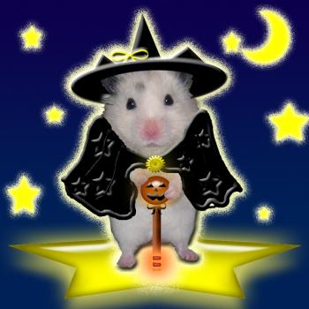 ハロウィンの夜、ぽーたろーもやって来た♪