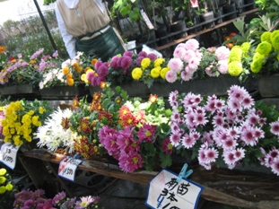 img20070602_3.jpg