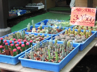 img20070602_8.jpg