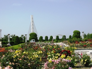 img20070526_4.jpg