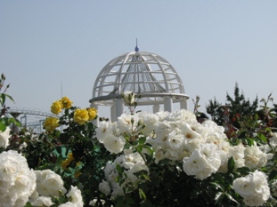 img20070526_5.jpg