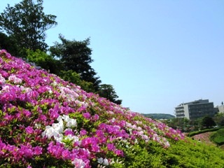 img_0065.jpg