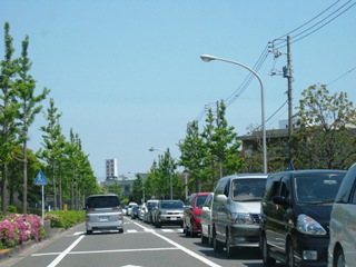 img_0095.jpg